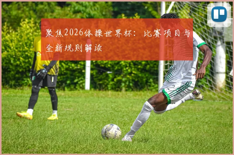 聚焦2026体操世界杯:比赛项目与全新规则解读